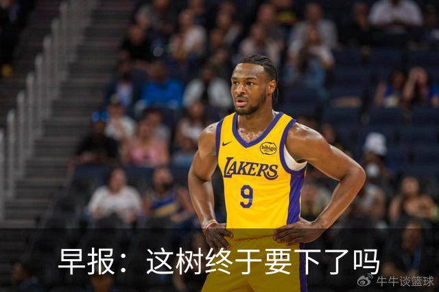 早报：这树终于要下了吗